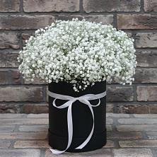 Цветочная композиция из Гипсофила в шляпной коробке в Тавде